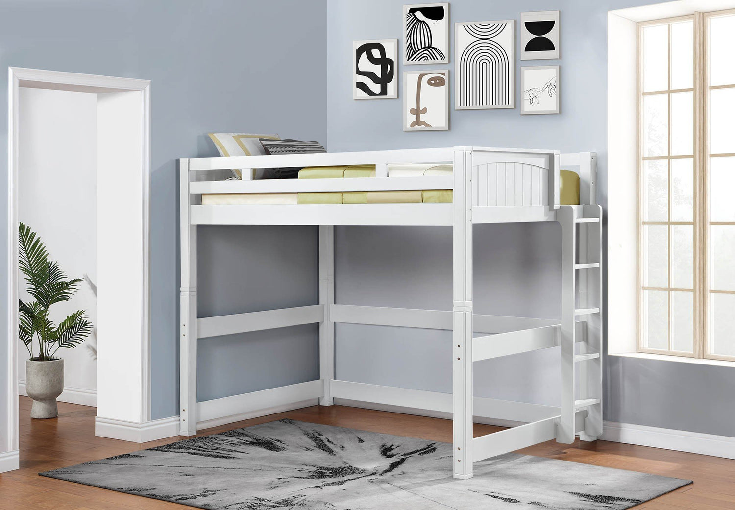 Fairview Queen Loft Bed