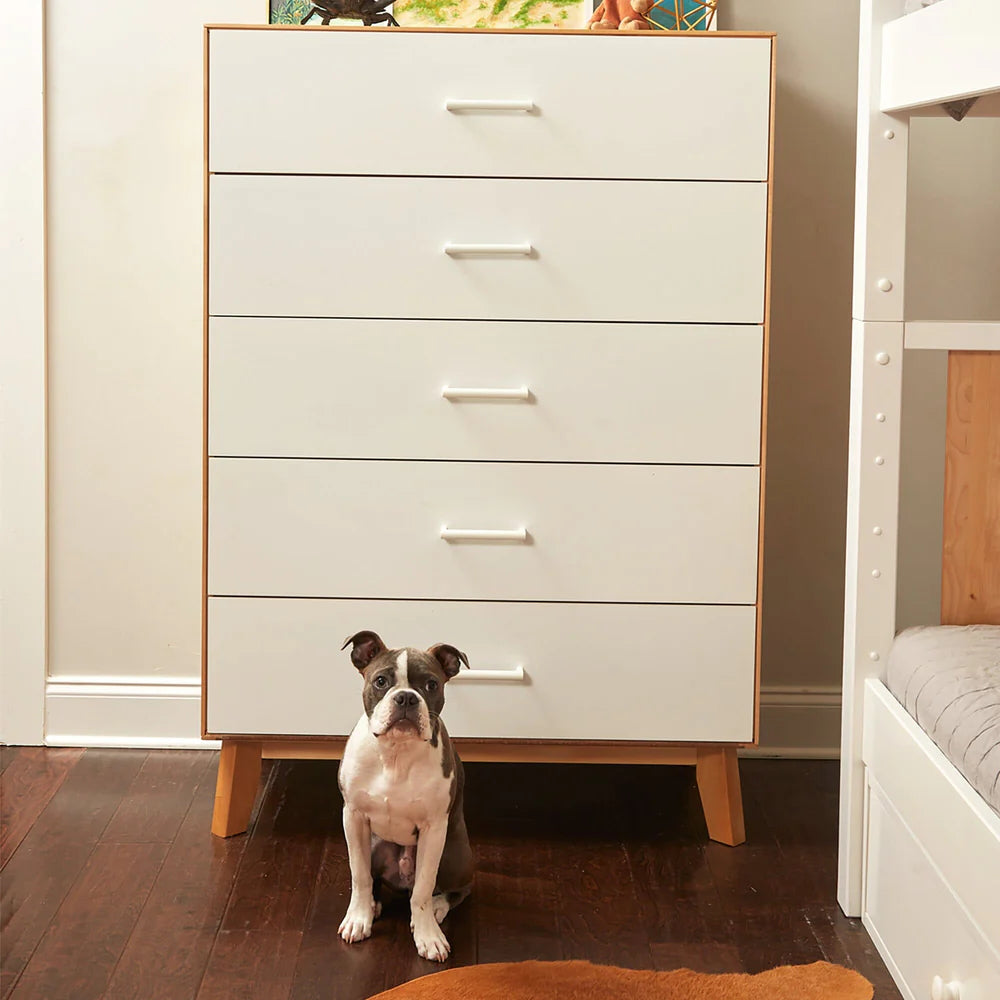 Modern 5 Drawer Dresser